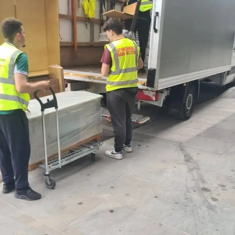 🧳 From Chaos to Calm: Victoria Movers Make Moving Easy