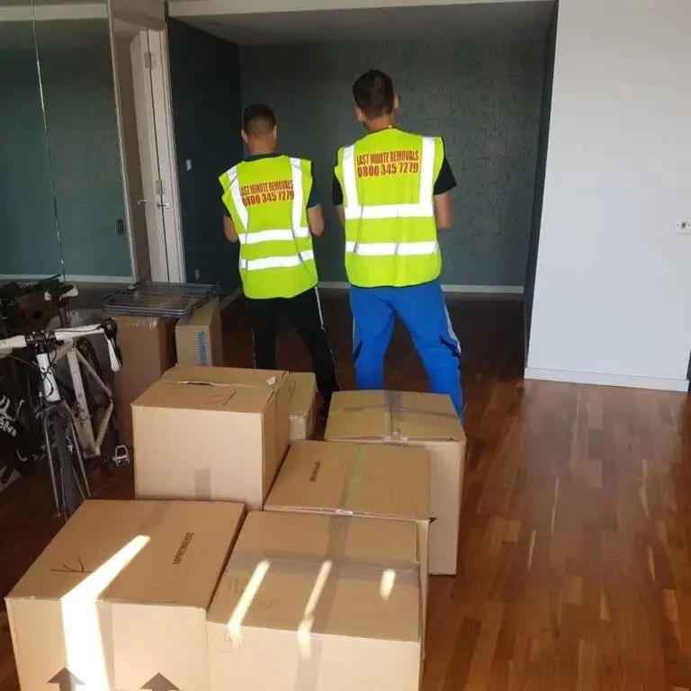 Two man are standing near the packed boxes